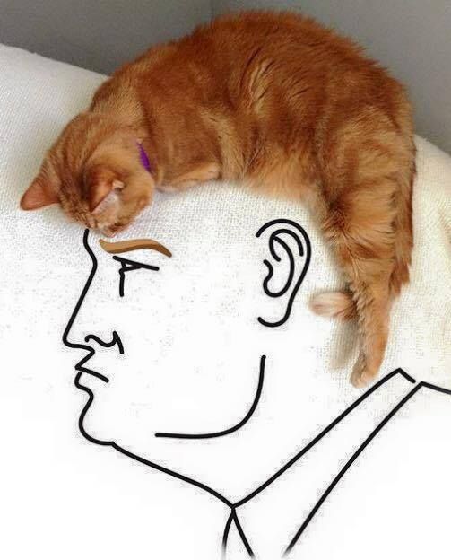 Trump Mačka
